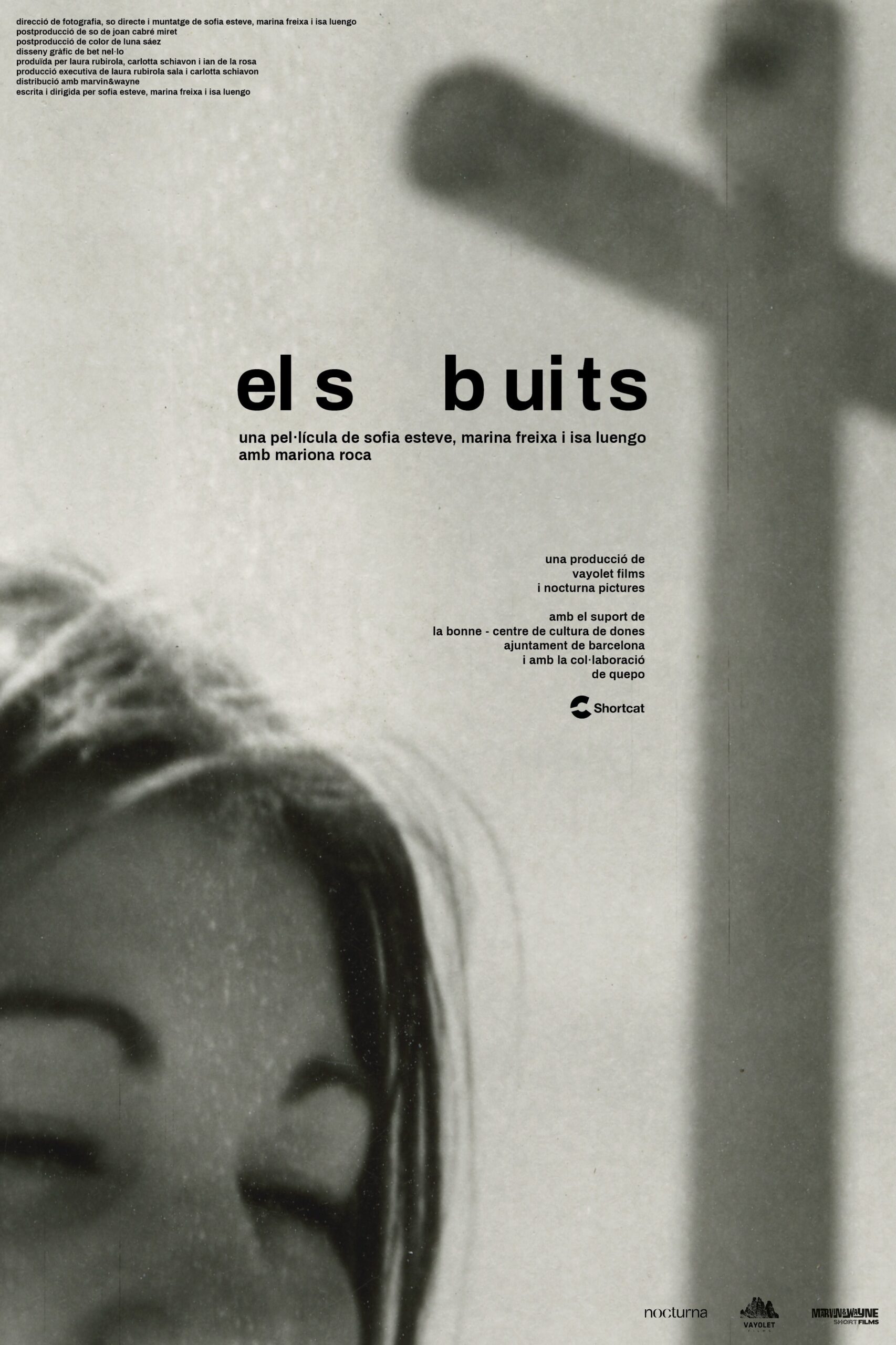 poster Els buits
